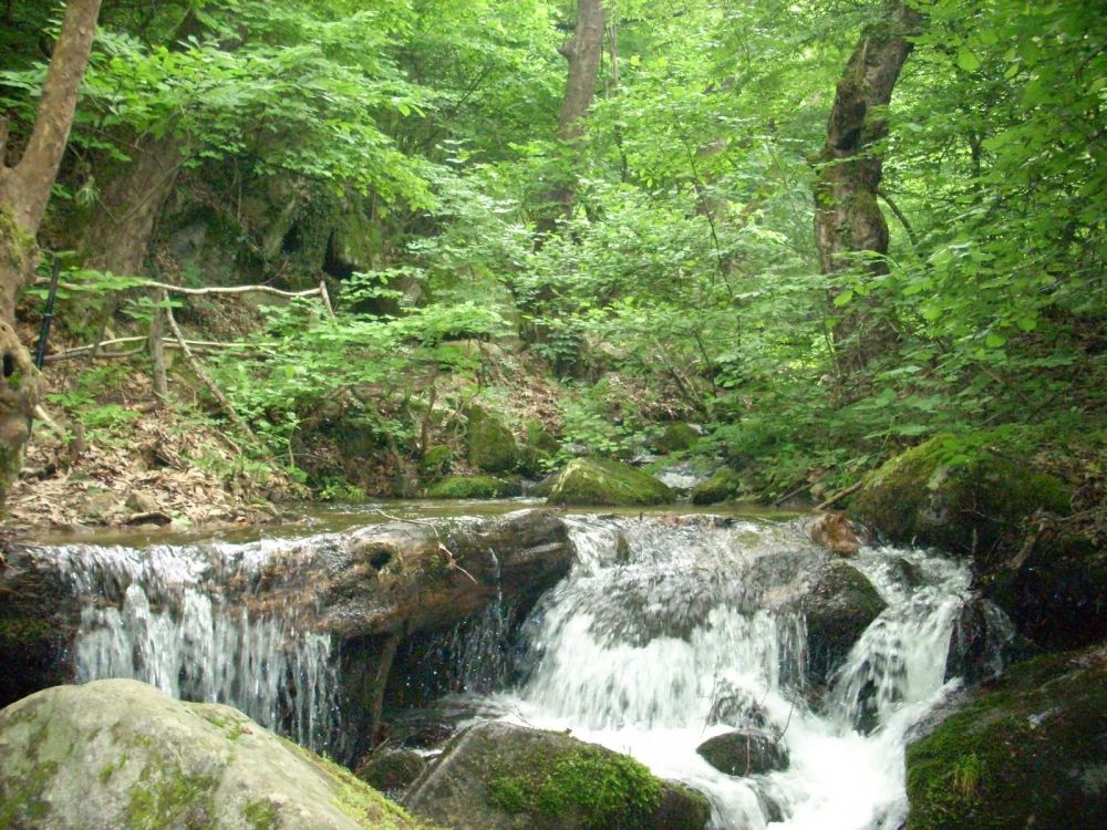 Koleshino Waterfalls