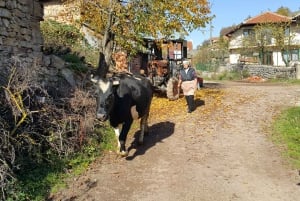 From Ohrid: Rural Wine and Dine Experience