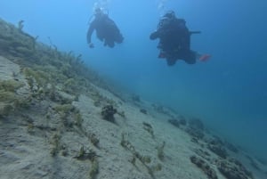 Ohrid: Duikervaring in het Meer van Ohrid