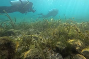 Ohrid: Duikervaring in het Meer van Ohrid