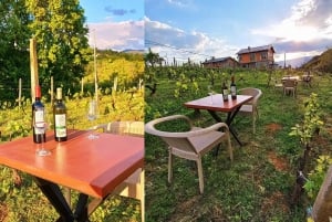 Ohrid - Wine Tasting Experience at S&S Winery