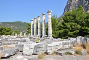 Priene Miletus Didyma Tour