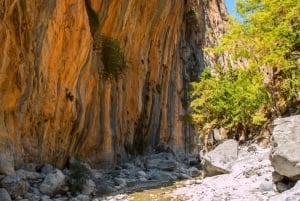 Samaria Gorge to Agia Roumeli: Europe's Majestic Guided Hike