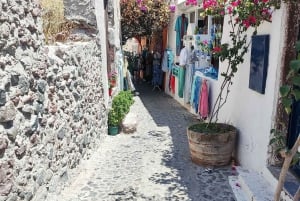 Santorini: Full day private tour with a local guide