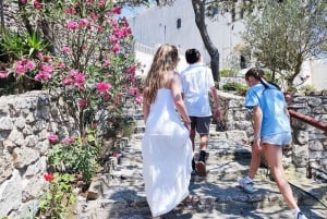 Santorini: Full day private tour with a local guide