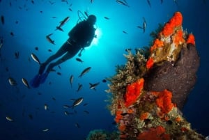 Snorkeling for beginners in crystal clear sea of Halkidiki