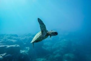 Snorkeling for beginners in crystal clear sea of Halkidiki