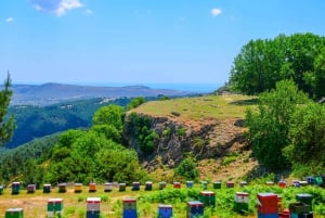 Thasos Island: Private Jeep Tour