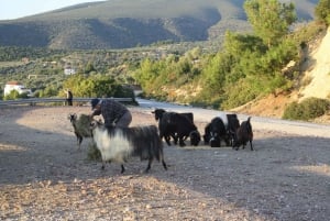 Thasos Island: Private Jeep Tour