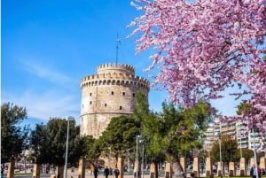 Thessaloniki Capital delights from Halkidiki