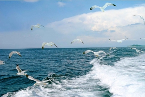 Thessaloniki: Day Trip to Ouranoupoli with Mt. Athos Cruise