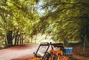 Thessaloniki: Mountain Buggy Adventure