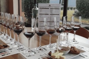 Thessaloniki: Naousa Wine Region Private Day Tour