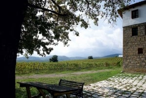 Thessaloniki: Naousa Wine Region Private Day Tour