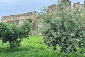 Thessaloniki Old Town Walking Tour - Nature-Culture-herbs