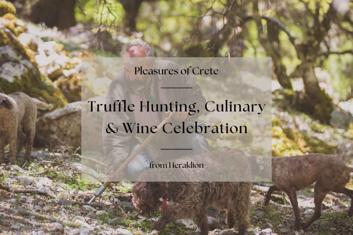 Truffle Hunting, Culinary & Wine Celebration from Heraklion