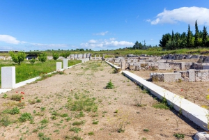 Vergina: Aigai Archaeological Site & Museum Admission Ticket