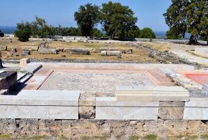 Vergina: Royal Graves of Aigai of Vergina Museum Ticket