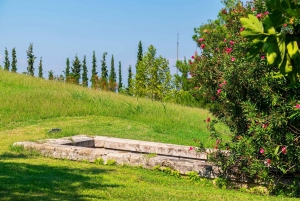 Vergina: Aigai Royal Tombs Admission Ticket and Audio Guide