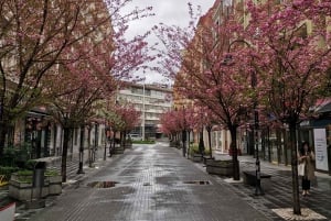 Walking in Skopje