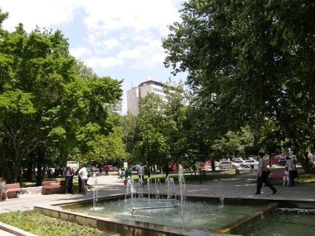 Zena Park