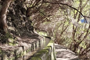 Madeira: 25 Fountains Rabaçal Forest Walk