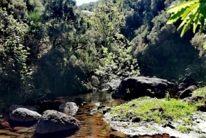 Madeira: 25 Fountains Rabaçal Forest Walk
