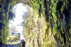 Madeira: 25 Fountains Rabaçal Forest Walk