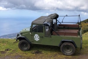 4 hours Unique Jeep Safari Tour to Pico do Arieiro, Madeira