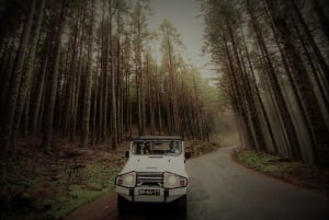 4x4 Jeep Tour to the East & Northeast of Madeira