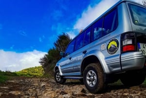 4x4 Jeep Tour to the East & Northeast of Madeira