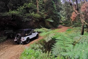 4x4 Jeep Tour to the East & Northeast of Madeira