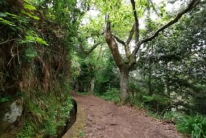 4x4 Jeep Tour to the East & Northeast of Madeira