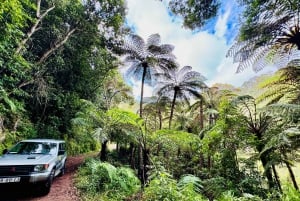 4x4 Jeep Tour to the East & Northeast of Madeira