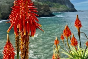 4x4 Jeep Tour to the East & Northeast of Madeira