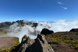 4x4 Jeep Tour to the East & Northeast of Madeira