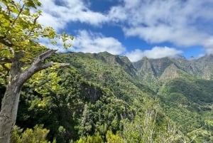 4x4 Jeep Tour to the East & Northeast of Madeira