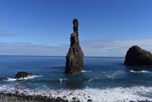 Private Tour, free Port Pickup, Skywalk & Natural Lava Pools