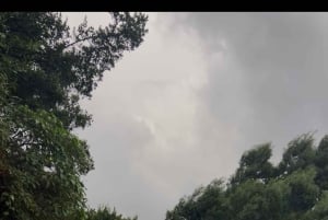 Seikkailu salaisiin paikkoihin Madeiralla 4x4