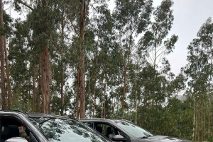 Seikkailu salaisiin paikkoihin Madeiralla 4x4