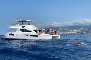 All Inclusive Whale and Dolphin Watching Luxury Tour