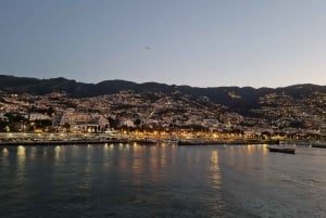 Audio Guide Citywalk Funchal for Cruise Guests