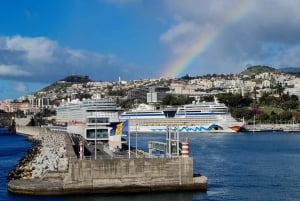 Audio Guide Citywalk Funchal for Cruise Guests