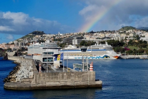 Audioguide Citywalk Funchal för kryssningsgäster