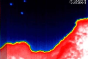 Fladdermusskådning Madeira