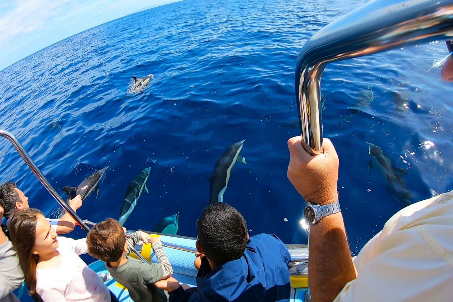 ベルーガ潜水艦ガラス底ボートツアー（スノーケリングオプション付き）