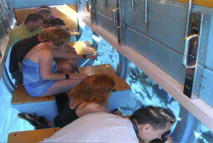 ベルーガ潜水艦ガラス底ボートツアー（スノーケリングオプション付き）