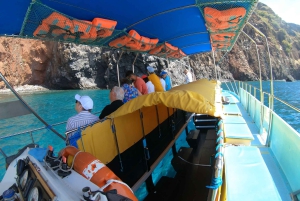 ベルーガ潜水艦ガラス底ボートツアー（スノーケリングオプション付き）