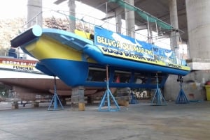 ベルーガ潜水艦ガラス底ボートツアー（スノーケリングオプション付き）