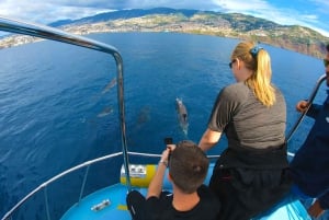 ベルーガ潜水艦ガラス底ボートツアー（スノーケリングオプション付き）